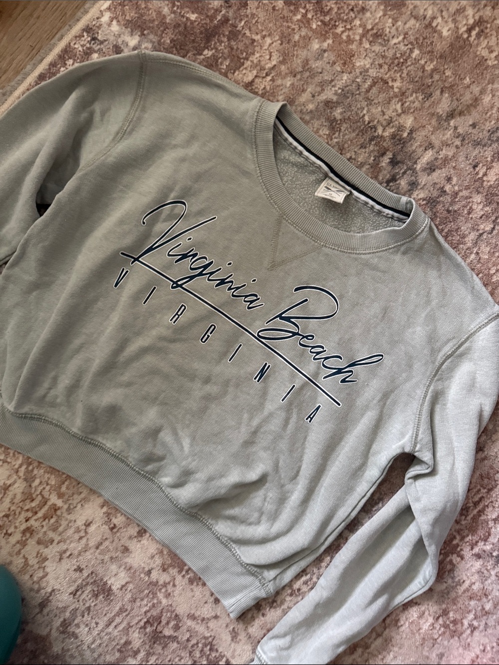 Virginia Beach Crewneck Sweatshirt - Light Sage